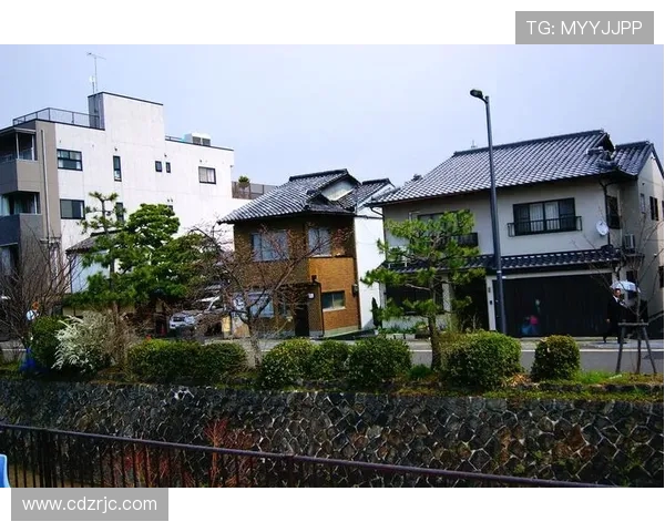 东京与大阪樱花的激烈对决结果揭晓精彩瞬间回顾与分析