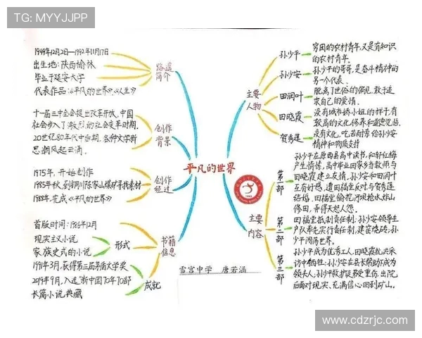 史鸿飞的成长之路：从平凡少年到杰出人才的奋斗历程与启示